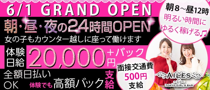 【24時間営業】Girls Bar AILES(ガールズバー エル)の求人情報