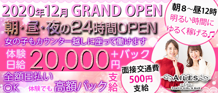 【24時間営業】Girls Bar AILES(ガールズバー エル)の求人情報