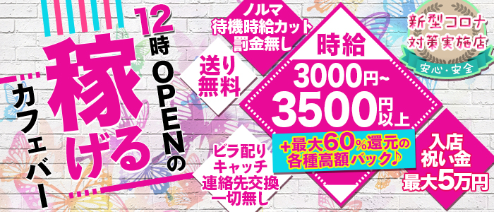 パピヨンの求人情報