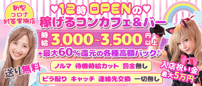 パピヨンの求人情報