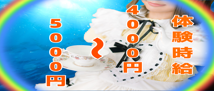 パピヨンの求人情報