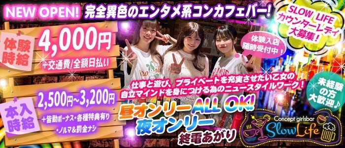 パピヨンの求人情報