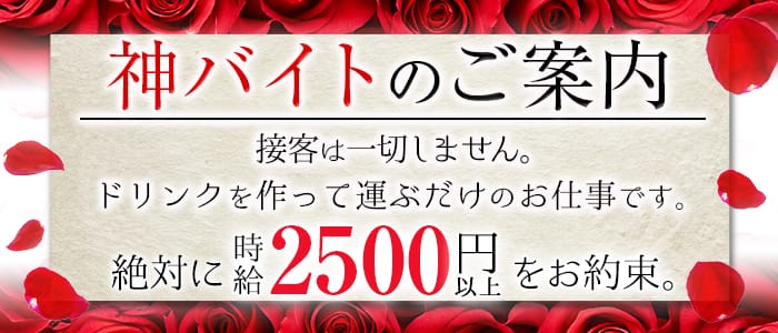 N LOUNGE(エヌラウンジ)の求人情報