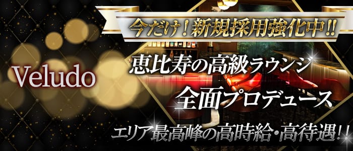 Veludo (ビロード)の求人情報