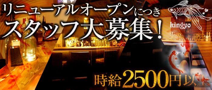 GIRLS BAR KINGYO(キンギョ)の求人情報
