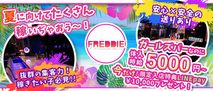 FREDDIE(フレッディ)の求人情報