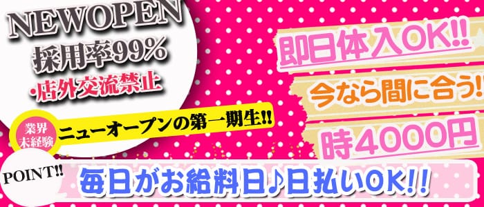 ダンディの求人情報