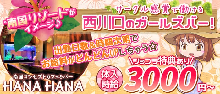 island cafe bar HANA HANA(ハナハナ)の求人情報