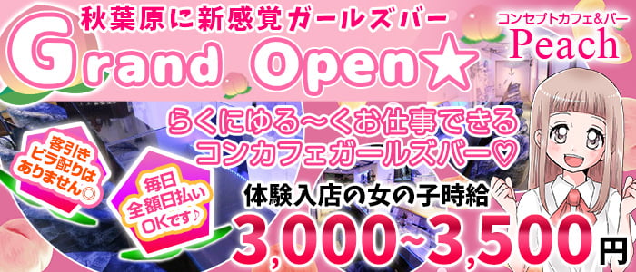 GirlsBar Peach(ピーチ)の求人情報