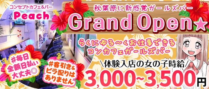 GirlsBar Peach(ピーチ)の求人情報