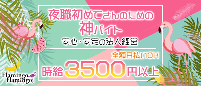 flamingo flamingo(フラミンゴ フラミンゴ)の求人情報