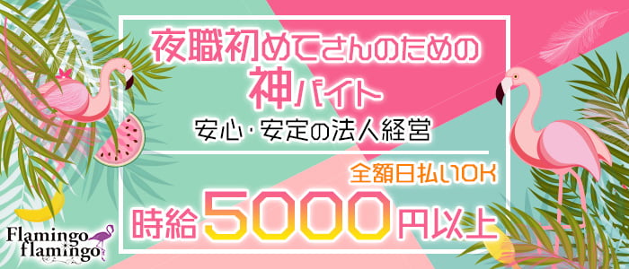 flamingo flamingo(フラミンゴ フラミンゴ)の求人情報