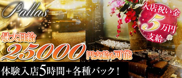 Pallas(パラス)の求人情報