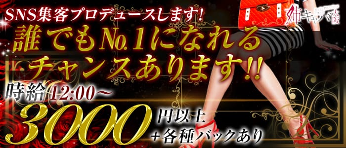 姉キャバ大阪の求人情報