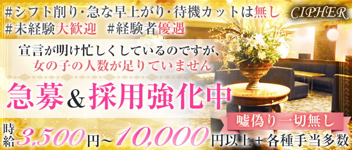 CIPHER(サイファ)の求人情報