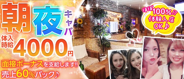 ヘリオポリスの求人情報