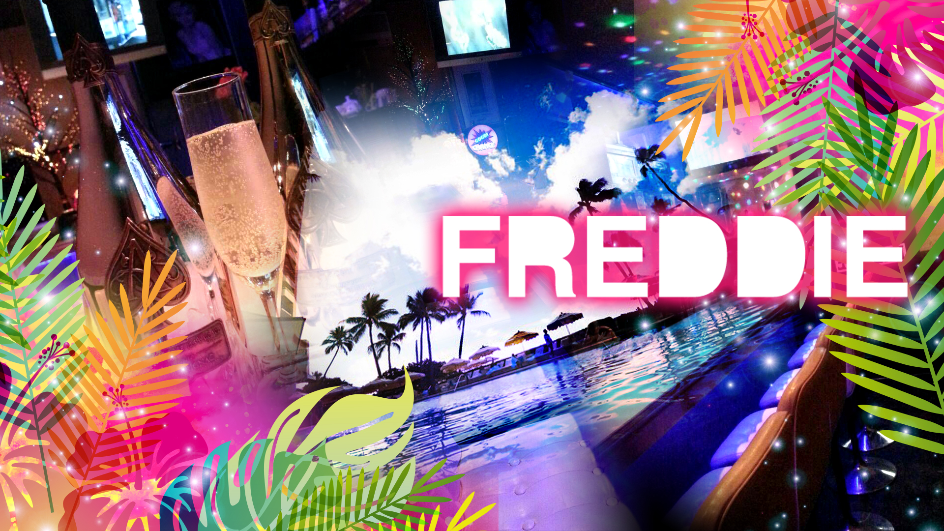 FREDDIE<フレッディ> 吉祥寺 ガールズバー TOP画像
