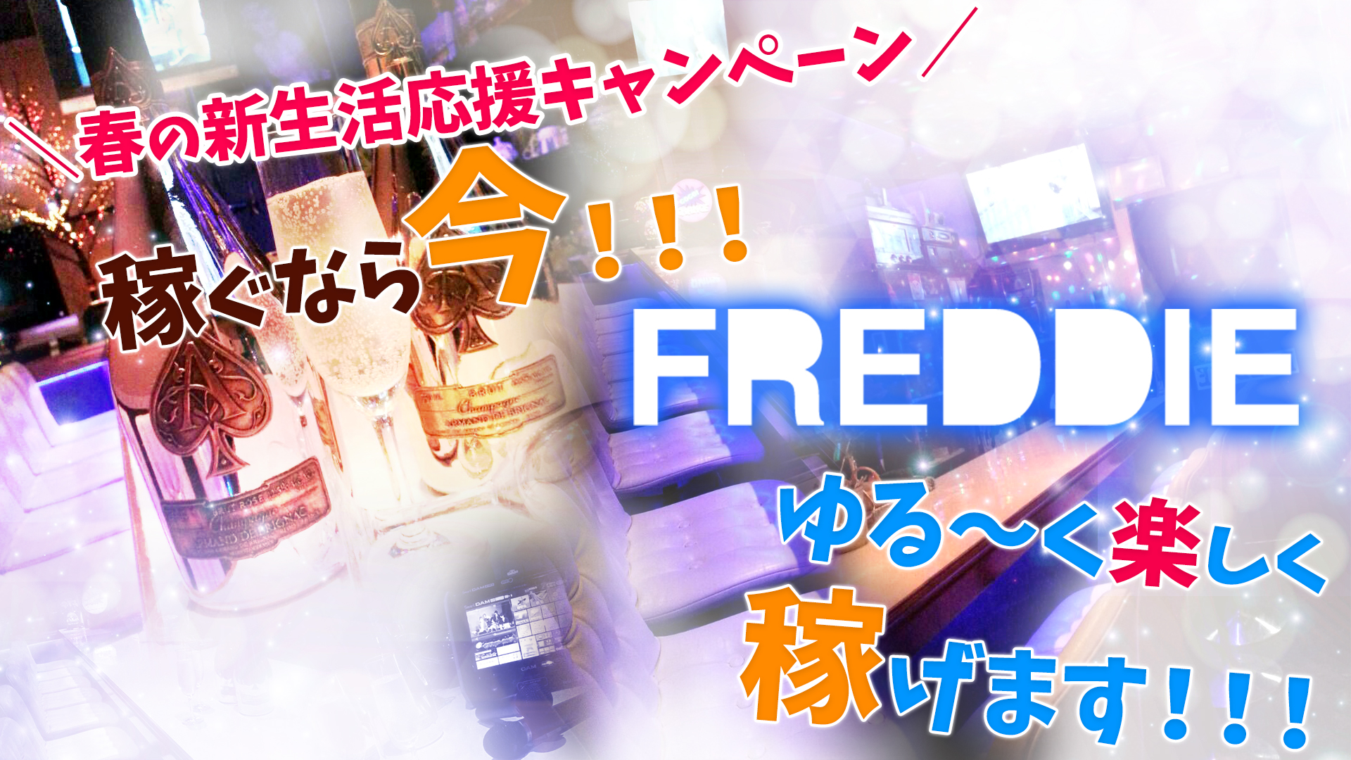 FREDDIE<フレッディ> 吉祥寺 ガールズバー TOP画像