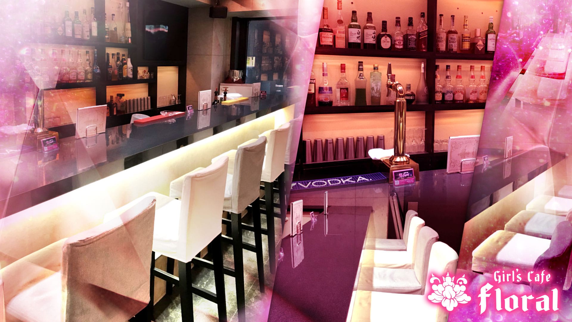 GIRL'S CAFE floral<フローラル> 新橋 ガールズバー TOP画像