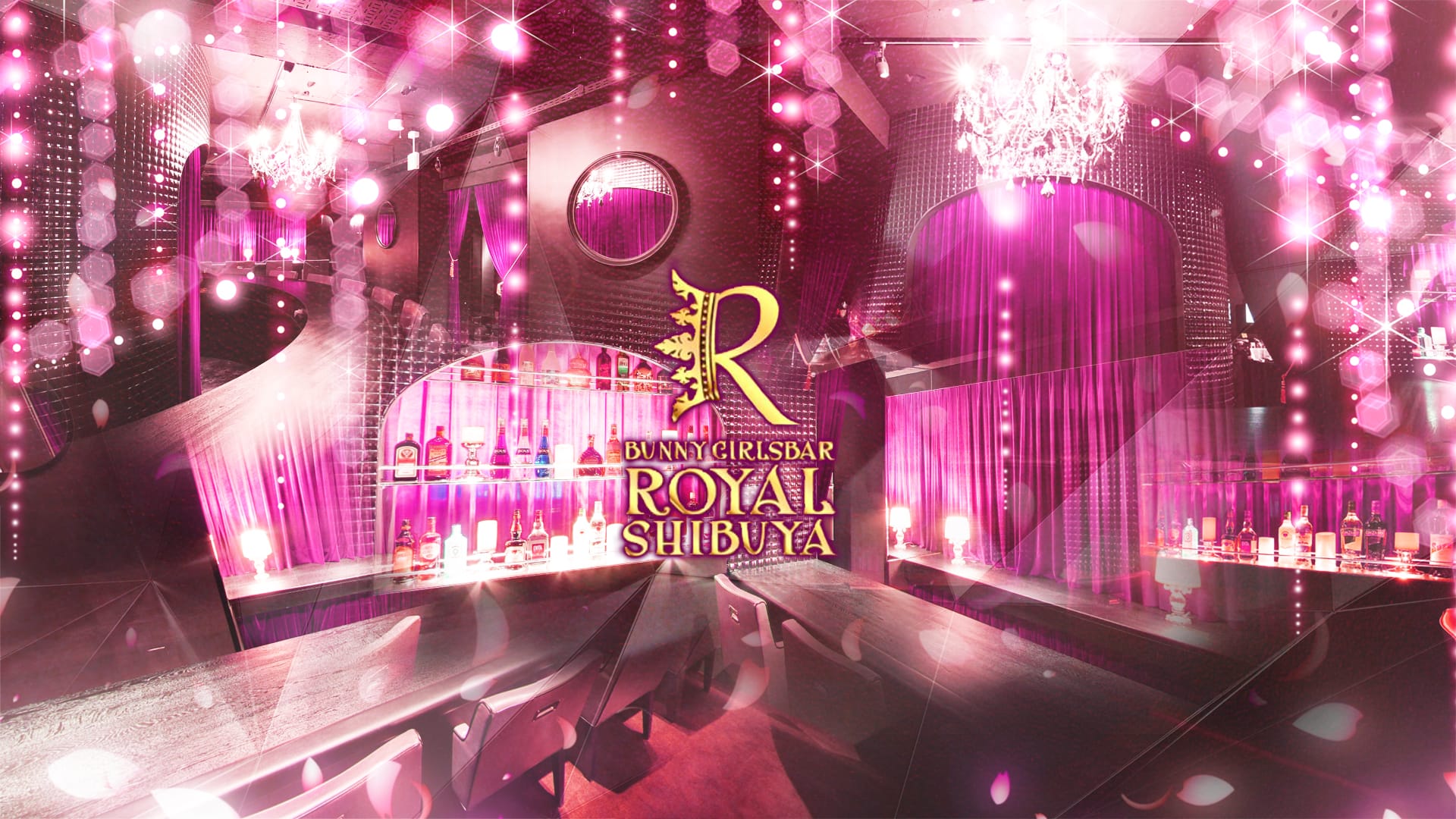 GIRLS BAR ROYAL SHIBUYA<ロイヤルシブヤ> 渋谷 ガールズバー TOP画像