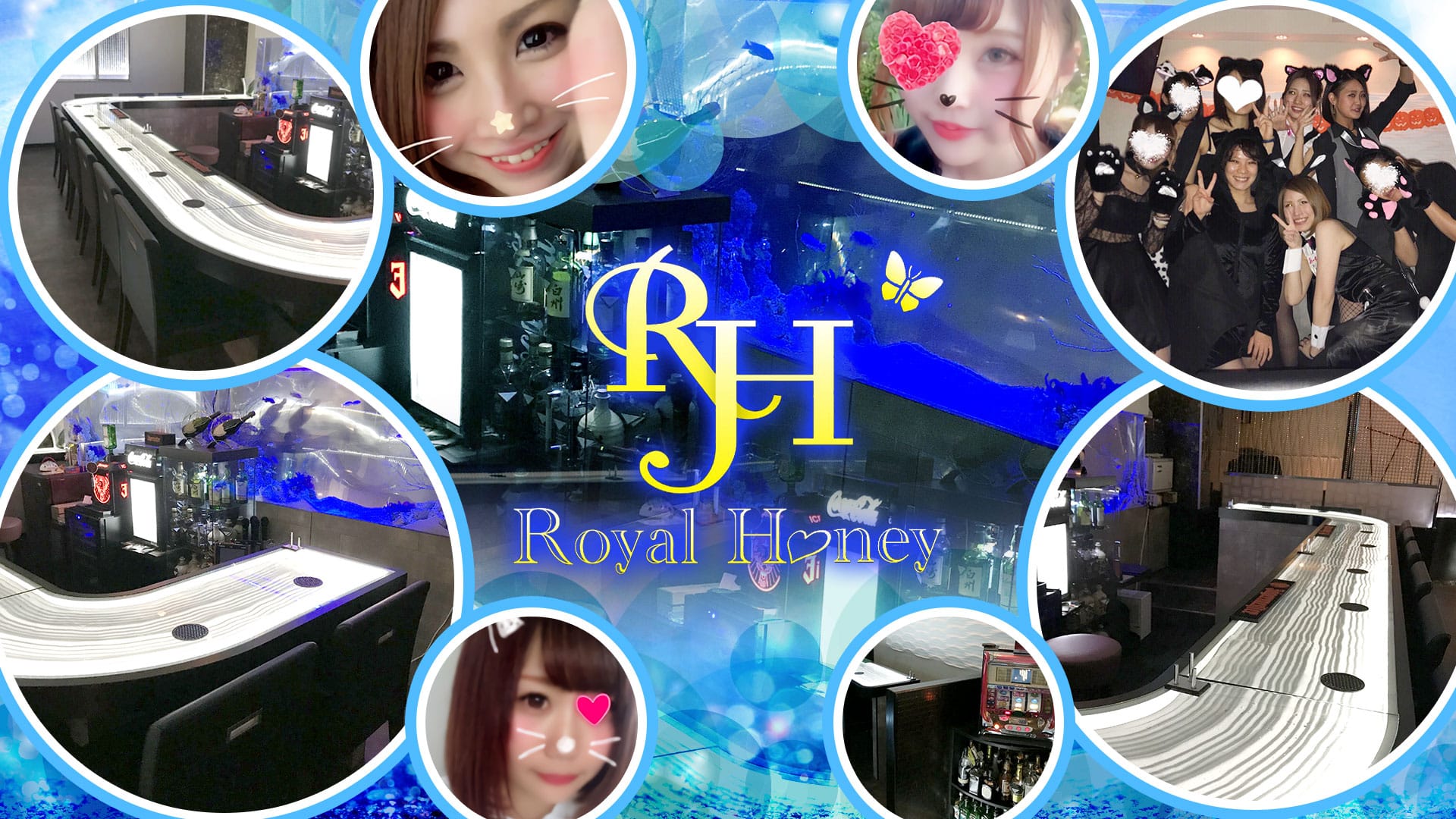 ROYAL HONEY<ロイヤルハニー> 五反田 ガールズバー TOP画像