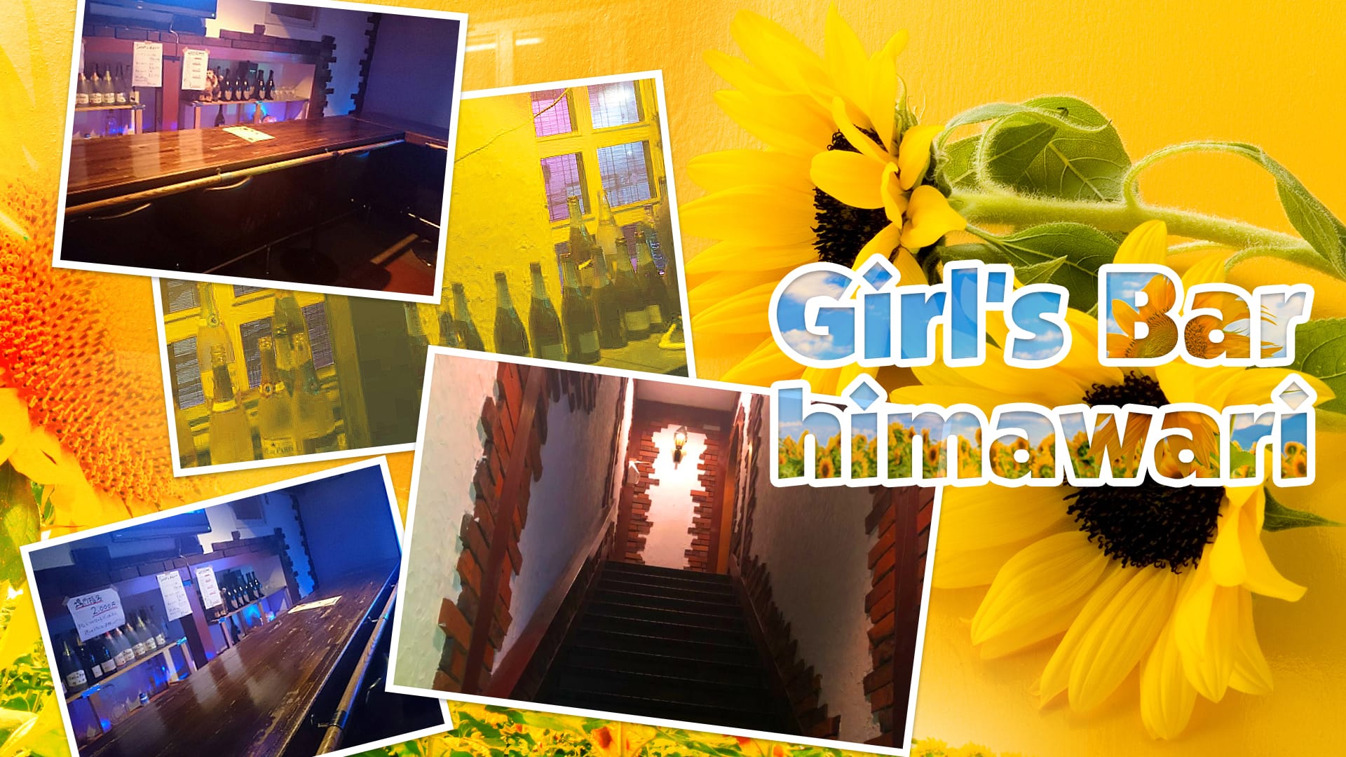 Girl's Bar himawari <ヒマワリ> 神楽坂 ガールズバー TOP画像