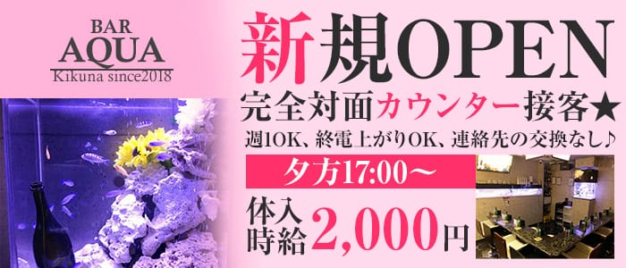 AQUA Girl's Bar菊名店<アクアガールズバー>(菊名ガールズバー)のバイト求人・体験入店情報