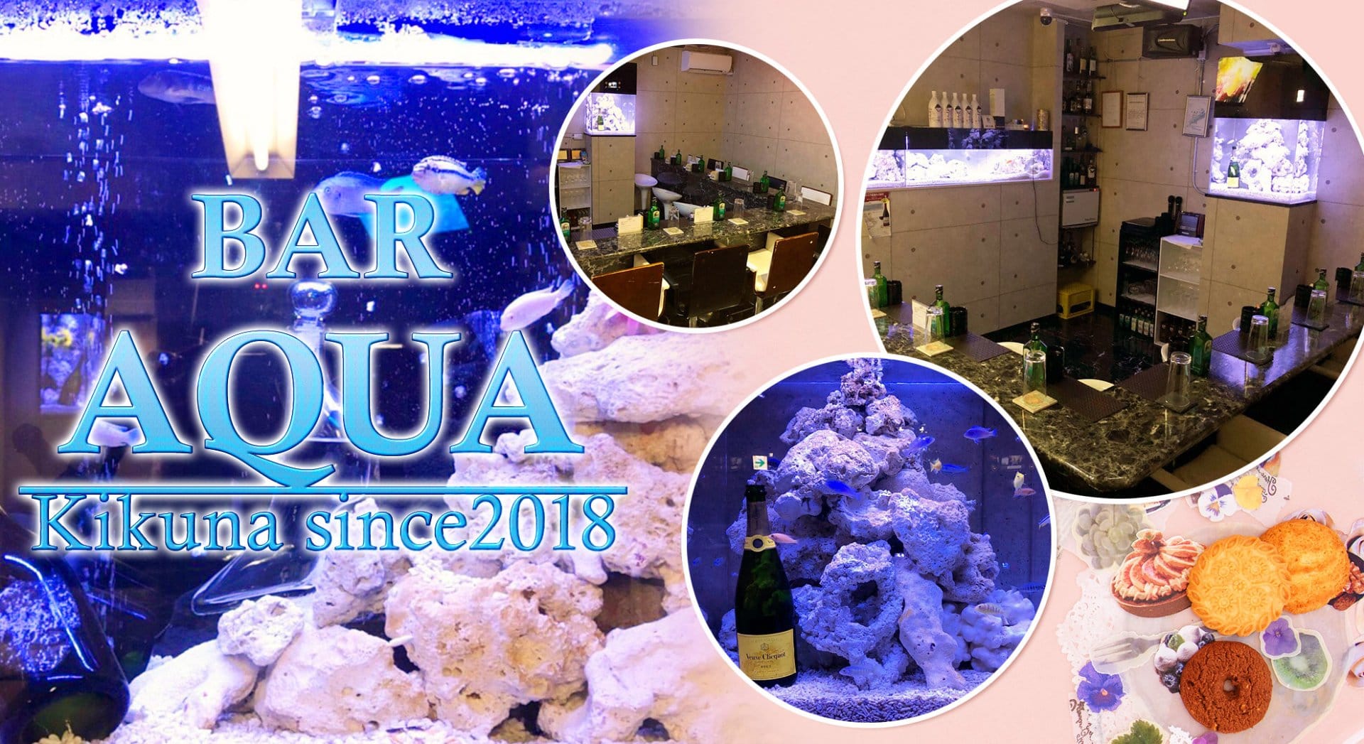 AQUA Girl's Bar菊名店<アクアガールズバー> 菊名 ガールズバー TOP画像