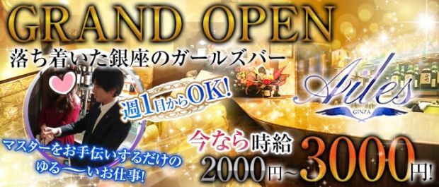 Ailes<エール> 銀座 ガールズバー バナー