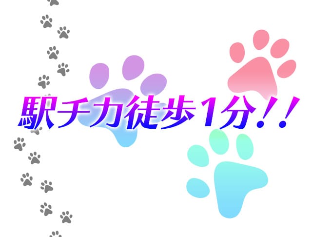 Girl's bar DO or DO<ドゥオアドゥ> 新橋 ガールズバー SHOP GALLERY 3